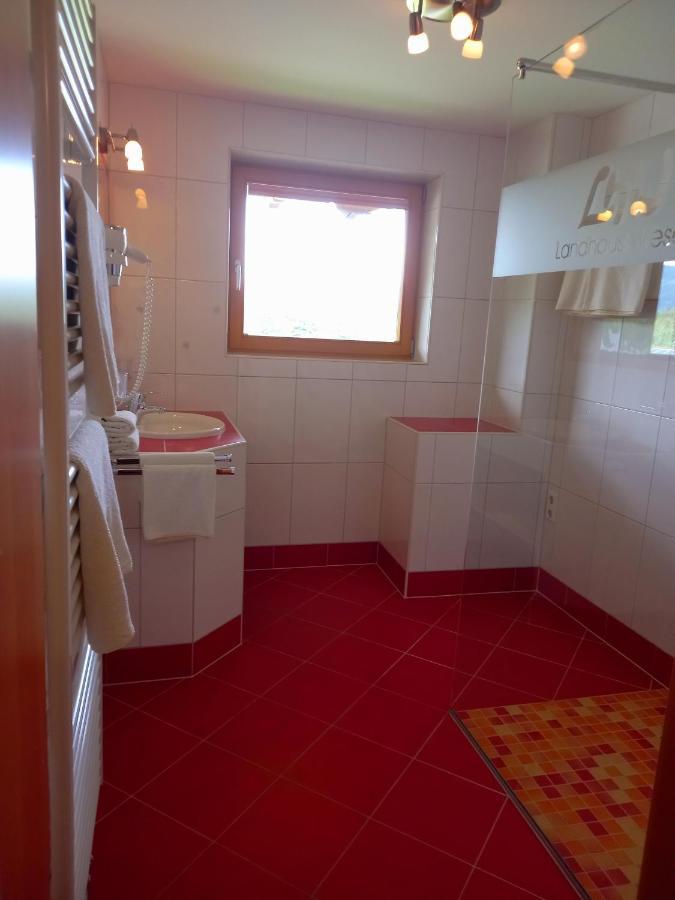 Landhaus Wieser Ramsau am Dachstein Εξωτερικό φωτογραφία