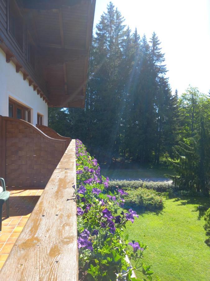 Landhaus Wieser Ramsau am Dachstein Εξωτερικό φωτογραφία