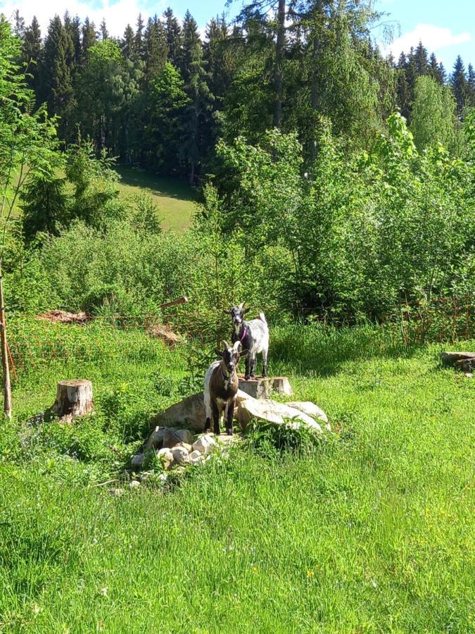 Landhaus Wieser Ramsau am Dachstein Εξωτερικό φωτογραφία